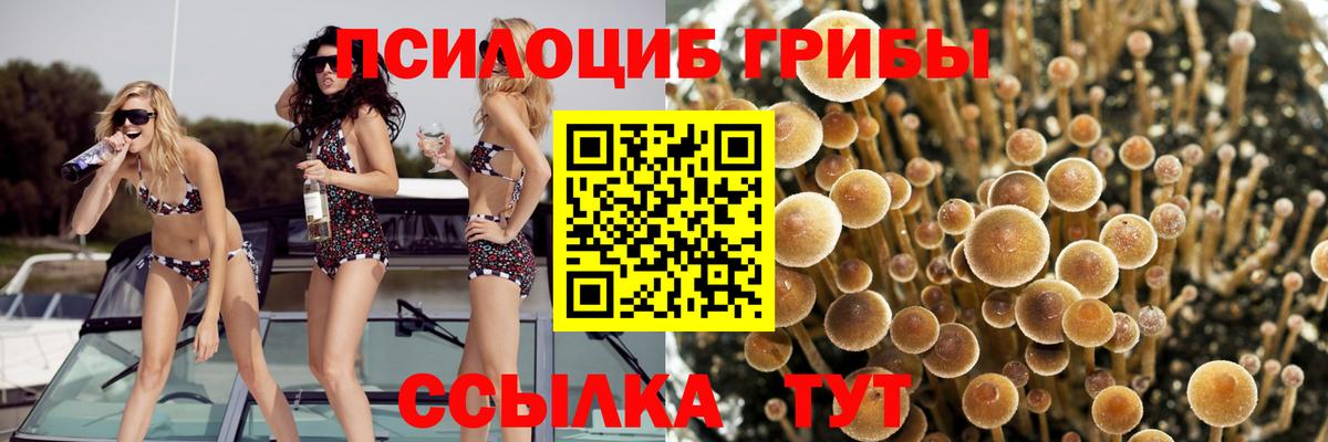 Галлюциногенные грибы мицелий Холмск