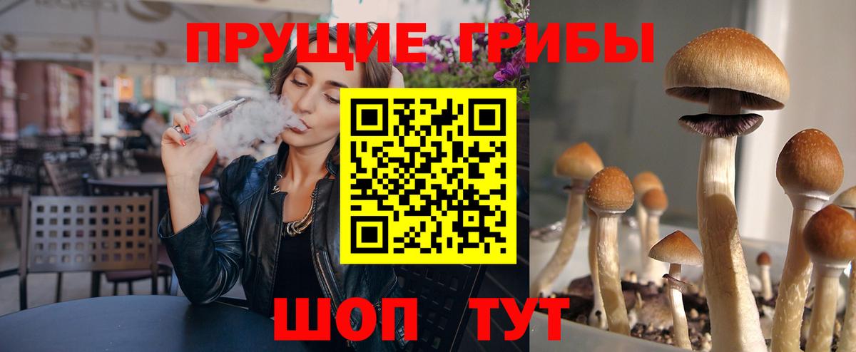 Галлюциногенные грибы мицелий  Вход с VPN  Холмск  Галлюциногенные грибы Cubensis 